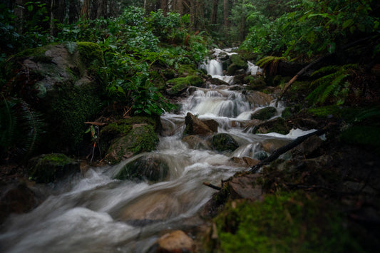 Streamside on Gabriola Island